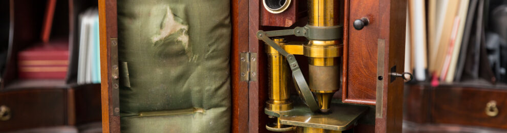 Under the Microscope