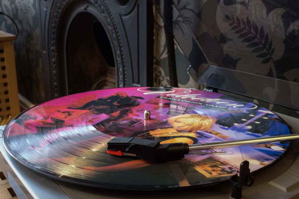 Velveteen Picture Disc