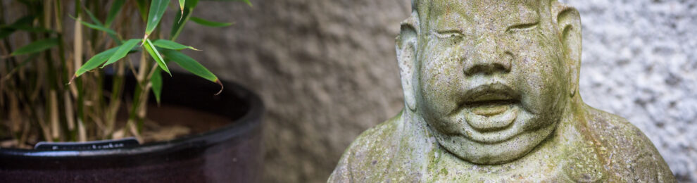 Buddha <span class="amp">&</span> Bamboo