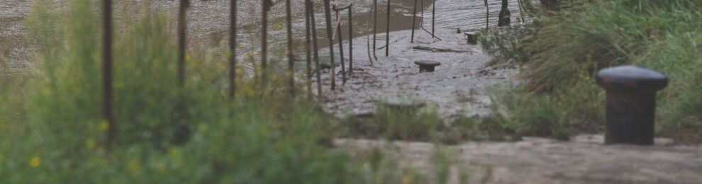 Down to the Waterline