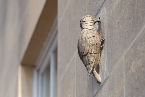 Carved stone woodpecker ornament on building wall