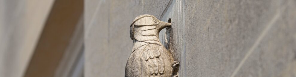 Yaffle